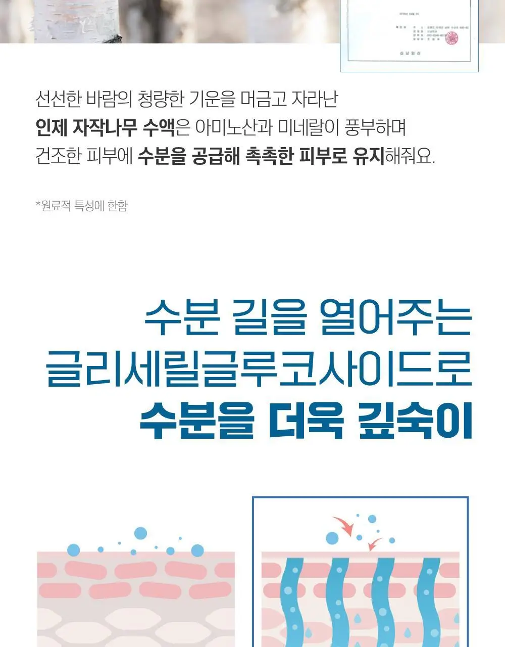 [수분진정] 라운드랩 포 맨 자작나무 수분 토너 200ml 상세페이지 6